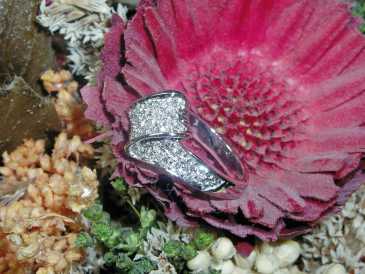 Фотоий: надувательство Jewels женщины