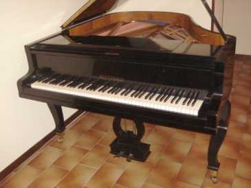 Фотоий: надувательство другие BLUTHNER - PIANOFORTE A MEZZA CODA