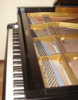 Фотоий: надувательство другие BLUTHNER - PIANOFORTE A MEZZA CODA