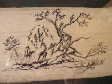 Фотоий: надувательство картины и чертежи DESSINS SUR FEUILLE DE BAMBOU