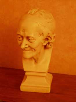 Фотоий: надувательство другие предметы искусствоа VOLTAIRE