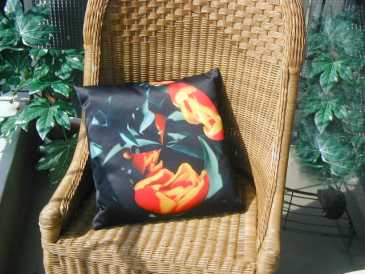 Фотоий: надувательство другие предметы искусствоа ART CUSHIONS