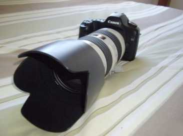 Фотоий: надувательство камеры CANON - EOS 5D