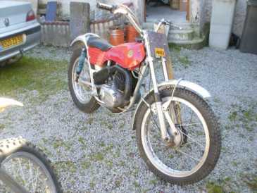 Фотоий: надувательство мотовелосипеды 250 cc - BULTACO - SHERPA 250CC