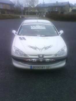Фотоий: надувательство автомобили PEUGEOT - 206