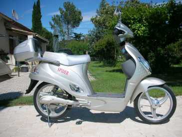 Фотоий: надувательство Scooters 4847 cc - SPIDER ELECTRIQUE