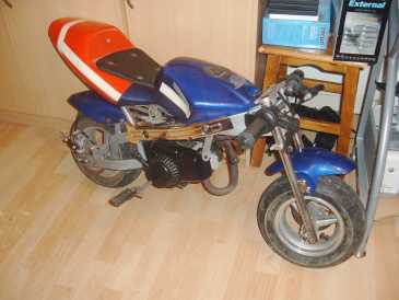 Фотоий: надувательство мопеды, minibikes 10299 cc - POCKET BIKE