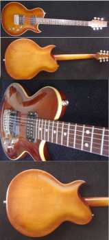 Фотоий: надувательство гитары и другие аппаратуры шнура ARIA PRO 2 LES PAUL - ARIA PRO II SHADOW CUSTOM BODY