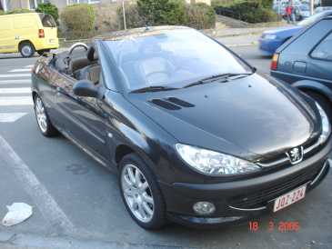 Фотоий: надувательство автомобили PEUGEOT - 206 CC