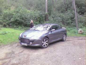 Фотоий: надувательство автомобили PEUGEOT - 307