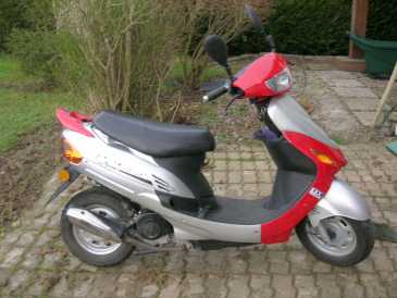 Фотоий: надувательство Scooters 50 cc - YIYING - YIYING 50 QT