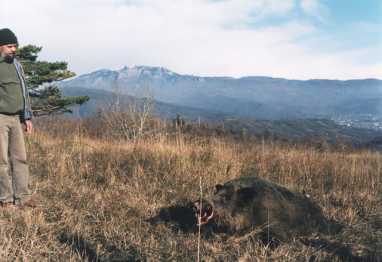 Фотоий: надувательство другие HUNTING AND FISHING TRIPS - ALL YEAR