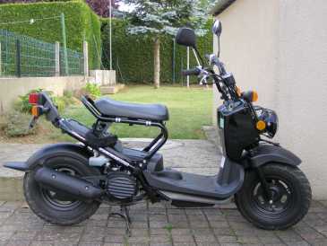 Фотоий: надувательство Scooters 50 cc - HONDA - ZOOMER