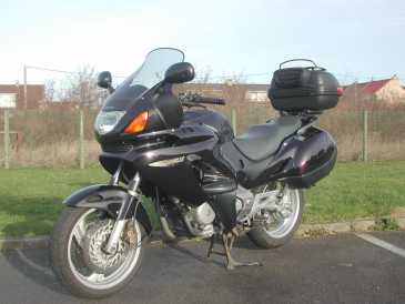 Фотоий: надувательство мотовелосипеды 650 cc - HONDA - DEAUVILLE