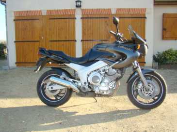 Фотоий: надувательство мотовелосипеды 850 cc - YAMAHA - TDM