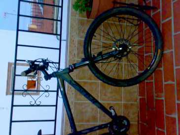 Фотоий: надувательство велосипеды ORBEA - SHAPYR