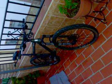 Фотоий: надувательство велосипеды ORBEA - SHAPYR