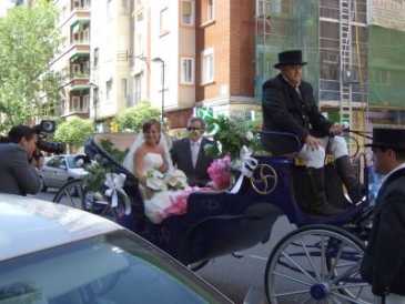 Фотоий: ренты другие COCHE DE CABALLOS