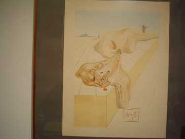 Фотоий: надувательство картины и чертежи SALVADOR DALI  CANTO 30 INFERNO