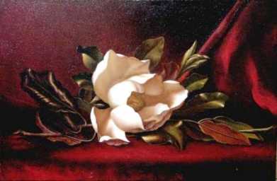 Фотоий: надувательство картины и чертежи FLOR DE LA MAGNOLIA