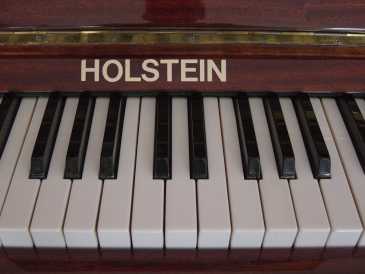 Фотоий: надувательство рояли и synthetizers HOLTSEIN