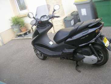 Фотоий: надувательство Scooters 125 cc - YAMAHA - MAJESTY