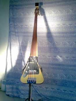 Фотоий: надувательство гитары и другие аппаратуры шнура FRAMUS - CONTREBASSE ELECTRIQUE
