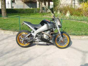 Фотоий: надувательство мотовелосипеды 1200 cc - BUELL - XB12S