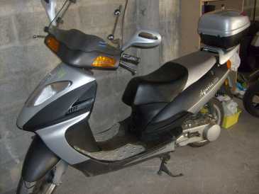 Фотоий: надувательство Scooters 125 cc - AGUILA