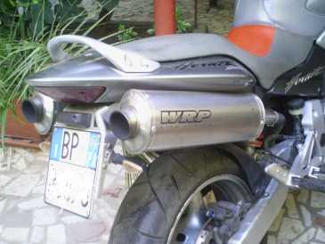 Фотоий: надувательство мотовелосипеды 900 cc - HONDA - CB HORNET