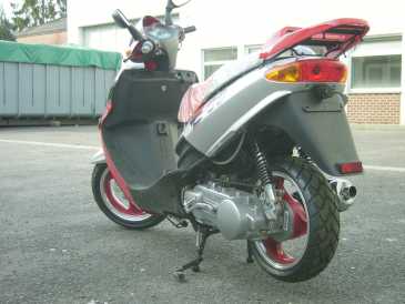 Фотоий: надувательство Scooters 125 cc - EAGLE LPG/GPL