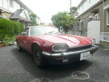 Фотоий: надувательство автомобили JAGUAR - XJS