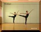 Фотоий: надувательство DVD LEZIONI DI DANZA CLASSICA IN VIDEO - LUISA SIGNORELLI